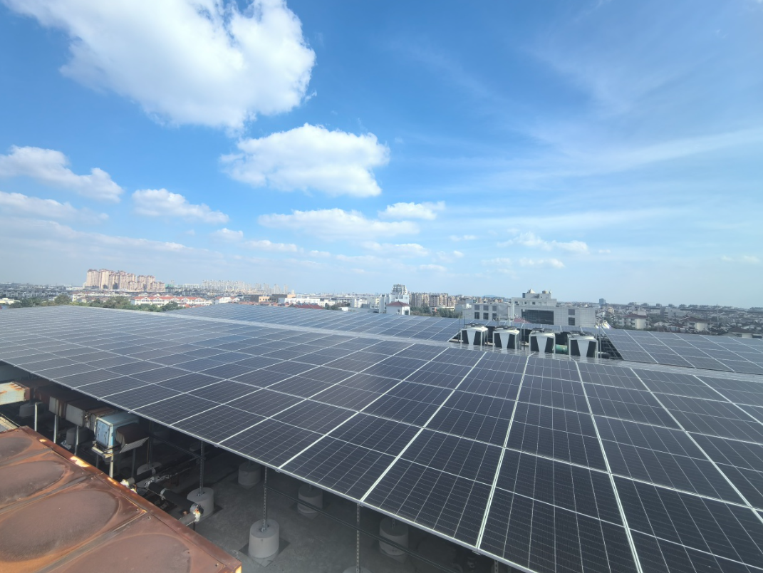 1765527530221324.png 562f1ff8-006b-4835-9fac-c546612fe8f1.png