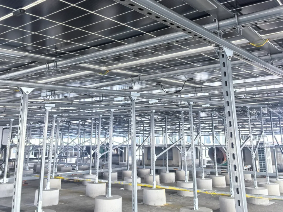 1765527545722718.png 3ed5600a-fd2f-41b3-b8cf-7338e536de5d.png